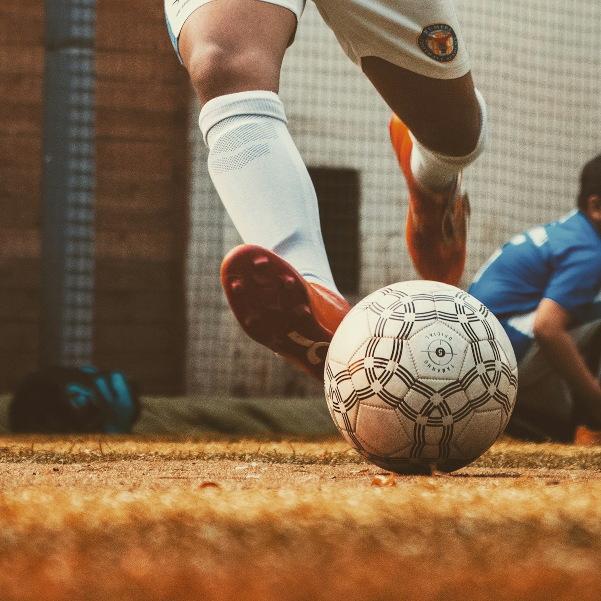 Die beste kostenlose KI für Sportwetten im Jahr 2026: ehrlicher Vergleich